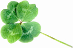 st patrick's day at the john wesley inncape may nj bed and breakfast
